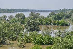 Toruń - powódź w maju i czerwcu 2010 r.