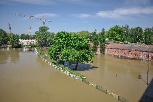 Toruń - powódź w maju i czerwcu 2010 r.