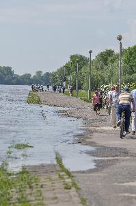 Toruń - powódź w maju i czerwcu 2010 r.