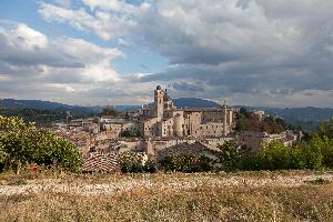 Urbino