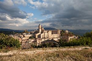 Urbino