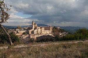 Urbino