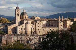 Urbino