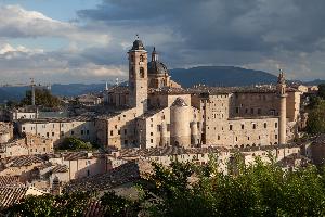 Urbino