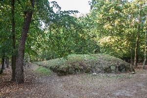 Wietrzychowice - park kulturowy