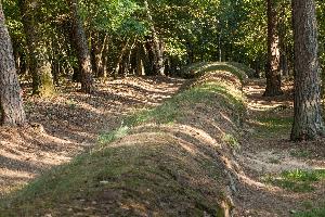 Wietrzychowice - park kulturowy