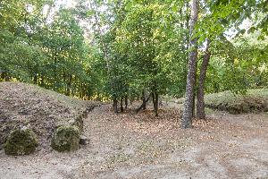 Wietrzychowice - park kulturowy