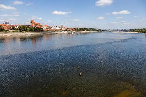 Toruń - panorama miasta