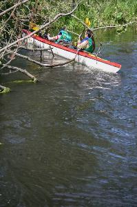 Spływ kajakowy na rzece Wdzie
